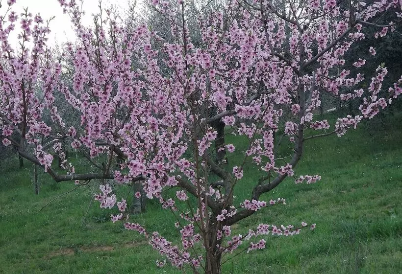هتل روستایی Il Campano