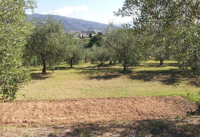 בית מלון כפרי Il Campano