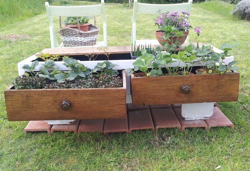 בית מלון כפרי Il Campano