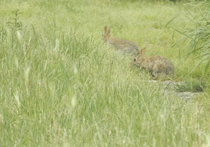 Ostello Il Gruccione
