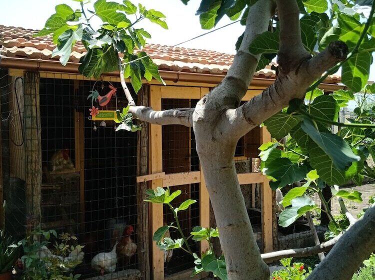 مبيت وإفطار Buonocore Rooms