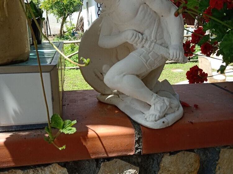 مبيت وإفطار Buonocore Rooms