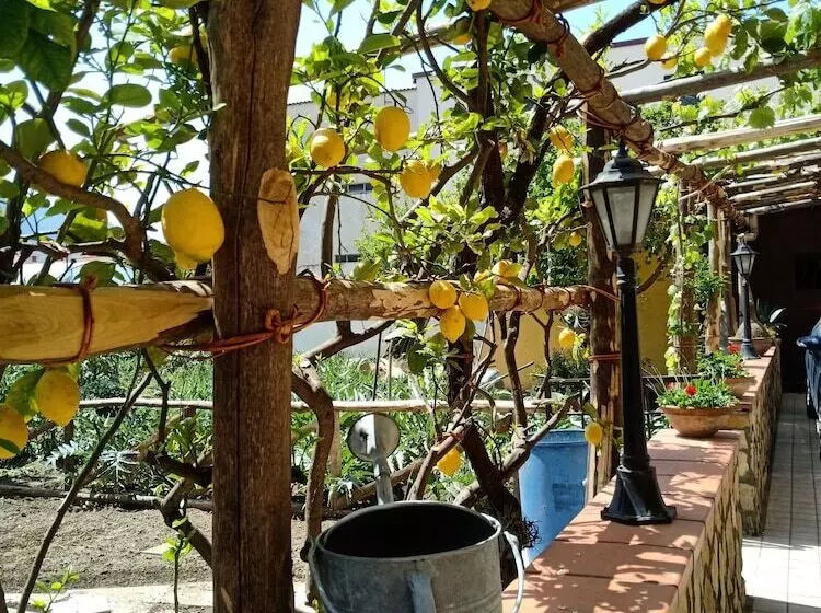 ベッドアンドブレックファースト Buonocore Rooms