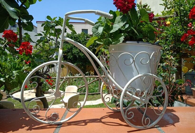 مبيت وإفطار Buonocore Rooms