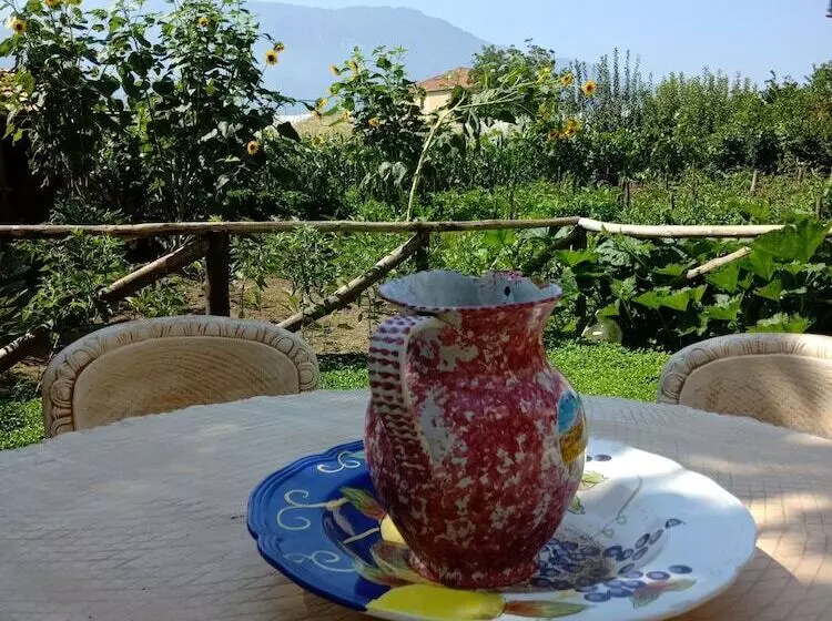 ベッドアンドブレックファースト Buonocore Rooms