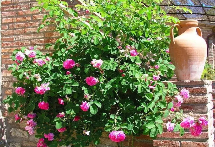 田舎風ホテル Agriturismo Borgo Santa Maria