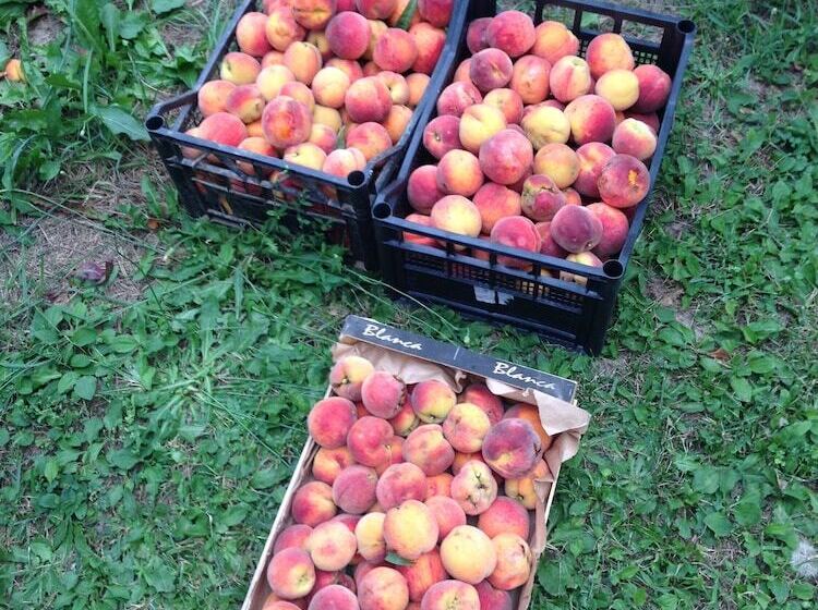 בית מלון כפרי Agriturismo Isorella