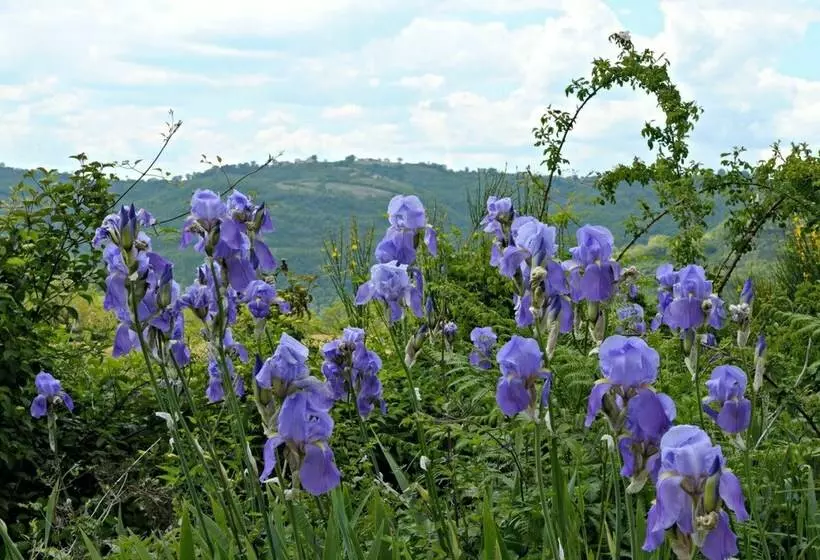 Cottage In Umbria