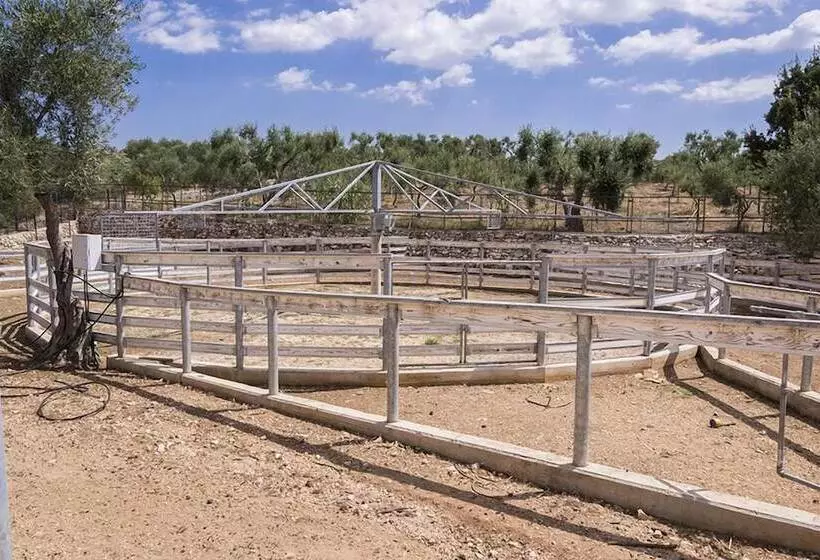 Hostelli Casina Murgecchia Fano