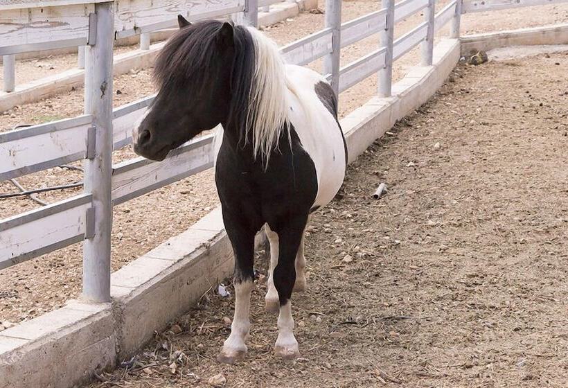 客栈 Casina Murgecchia Fano