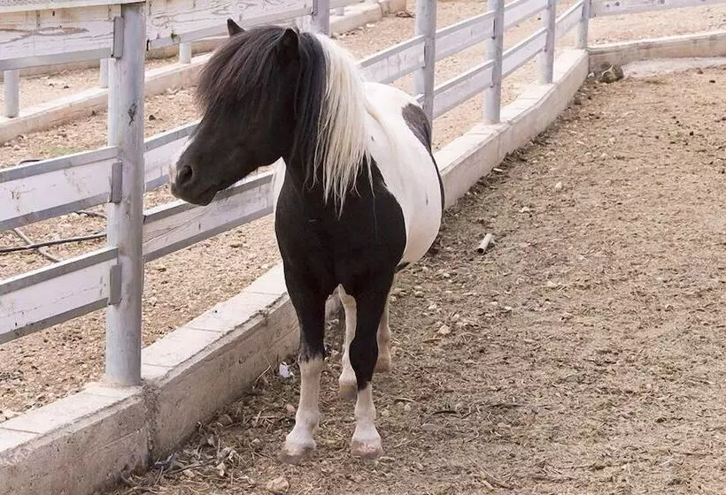 Hostelli Casina Murgecchia Fano