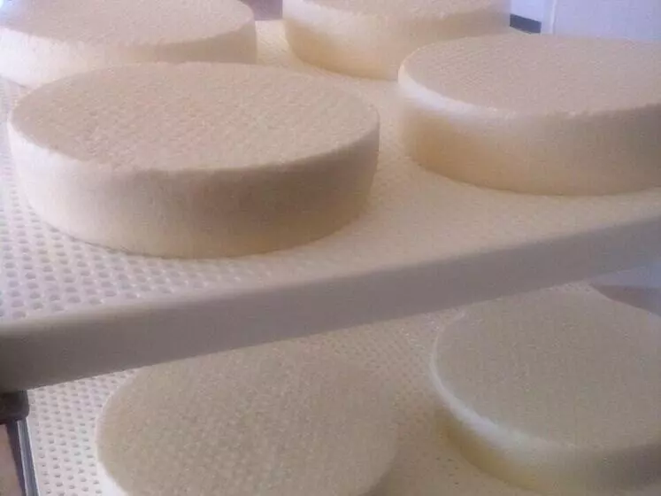 Hostelli Casina Murgecchia Fano