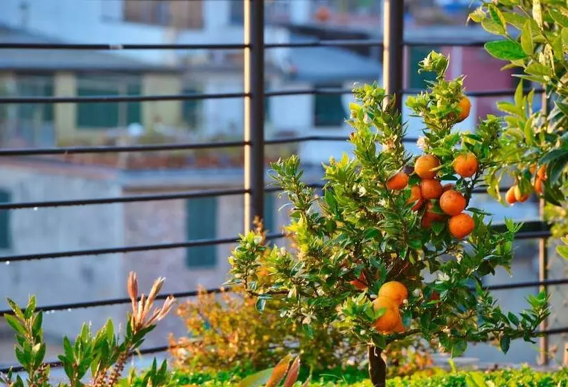 پانسیون Crêuza De Mä