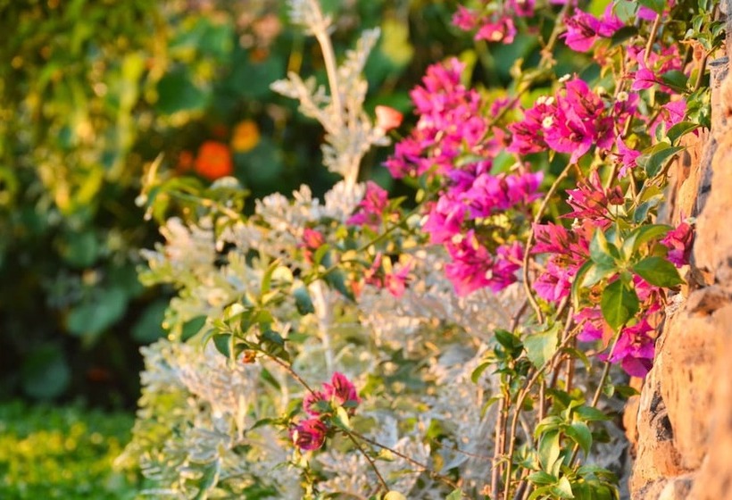 بنسيون Crêuza De Mä