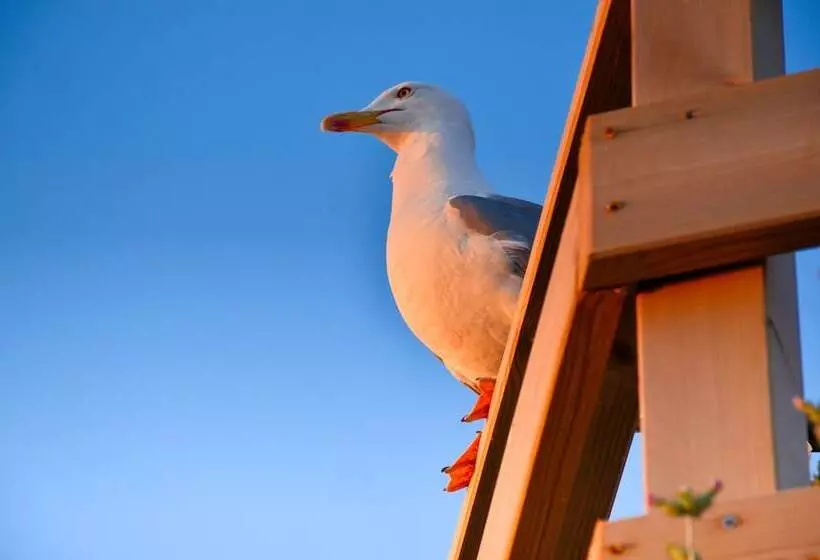 پانسیون Crêuza De Mä