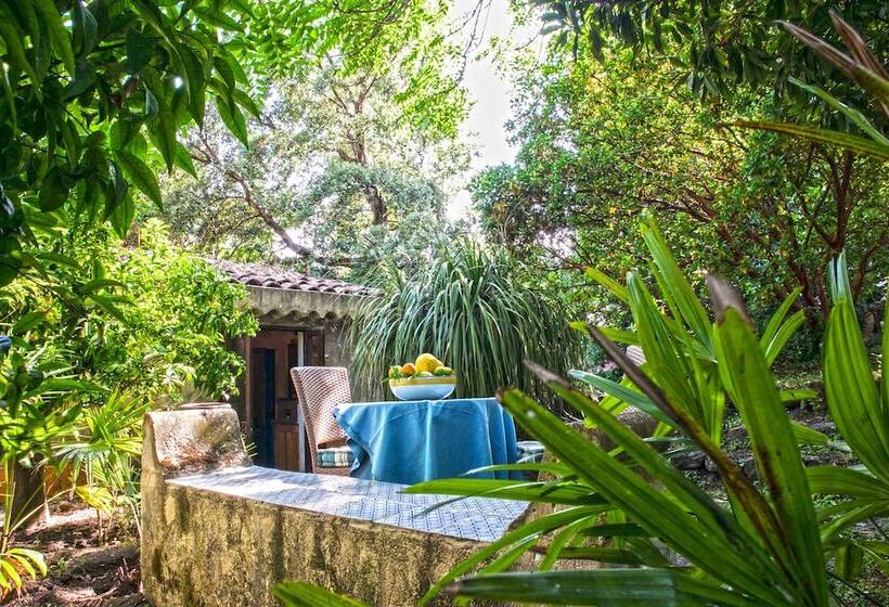 펜션 Etna Botanic Garden