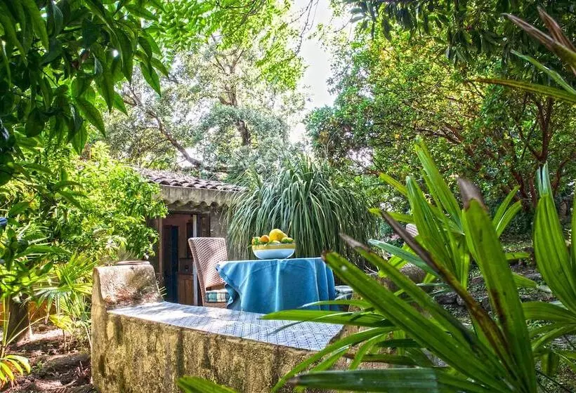 ペンション Etna Botanic Garden