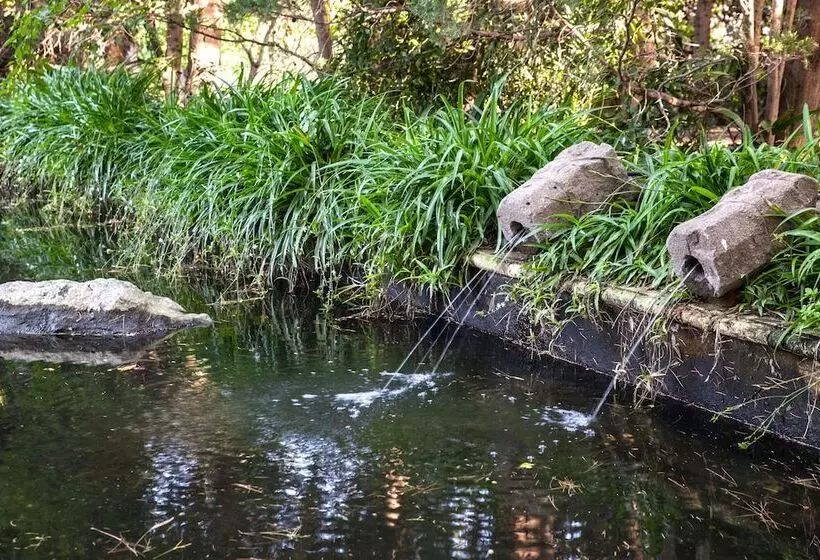 ペンション Etna Botanic Garden
