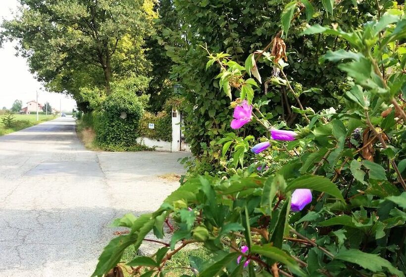 Bed and Breakfast Villa Maria Sole