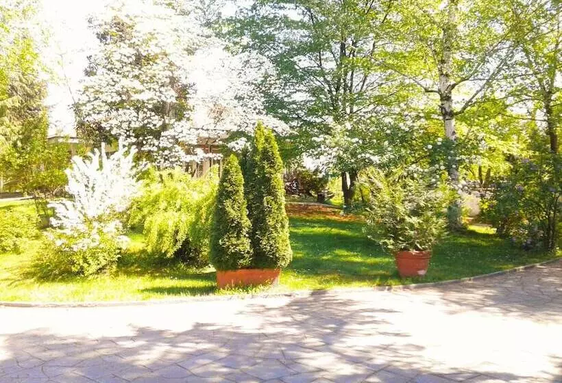 ベッドアンドブレックファースト Villa Maria Sole