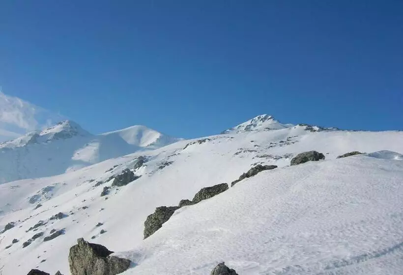 Hotelli Albergo Ristorante Payarin