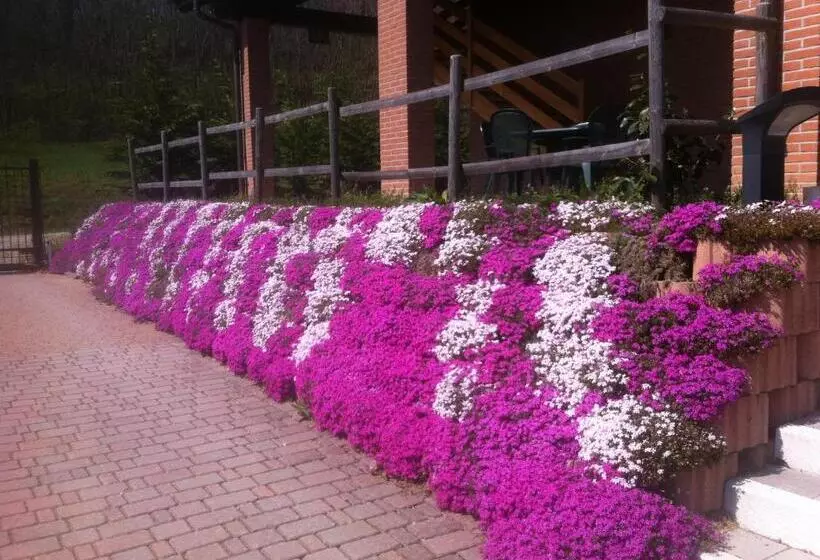 田舎風ホテル Agriturismo Altana Del Motto Rosso