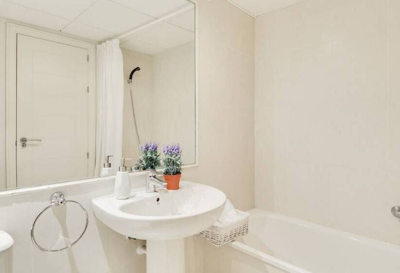 Apartamentos Amatista