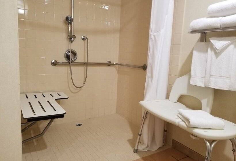 Holiday Inn Hotel & Suites Anaheim, An Ihg