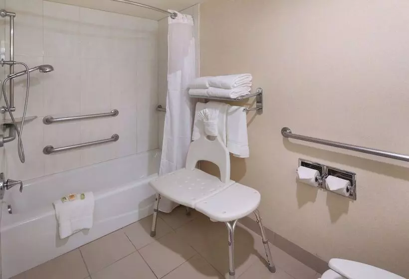 Holiday Inn Hotel & Suites Anaheim, An Ihg