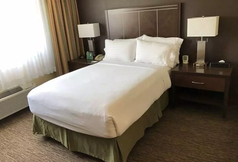 Holiday Inn Hotel & Suites Anaheim, An Ihg