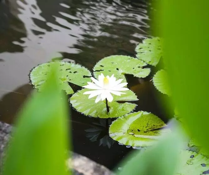 فندق Legian Paradiso