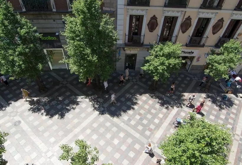 هتل Petit Palace Arenal