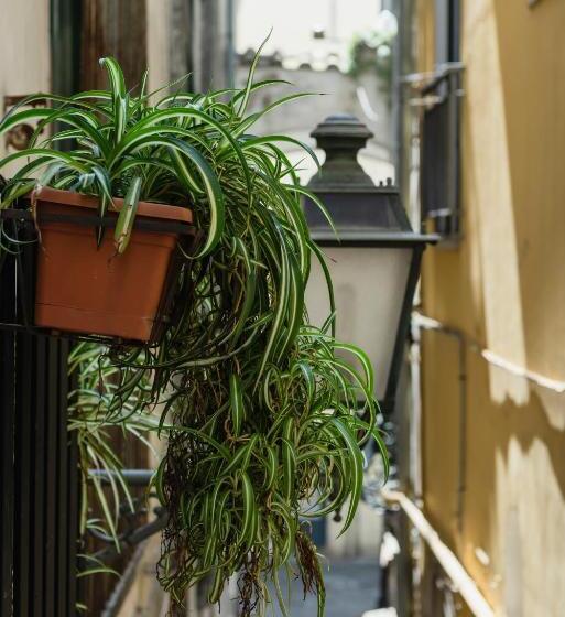 تختخواب و صبحانه La Casa Degli Angeli