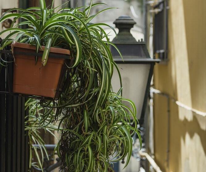 تختخواب و صبحانه La Casa Degli Angeli