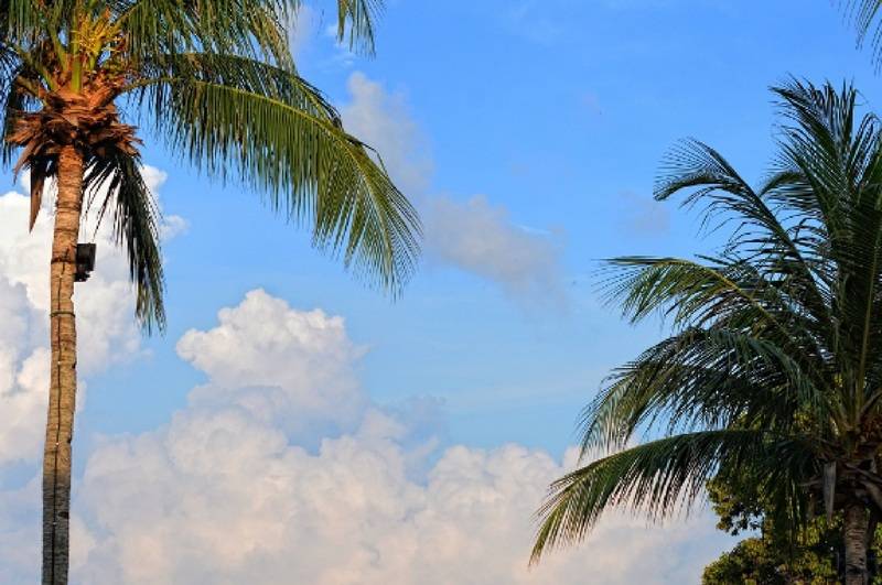 Holiday Villa Resort & Beachclub Langkawi