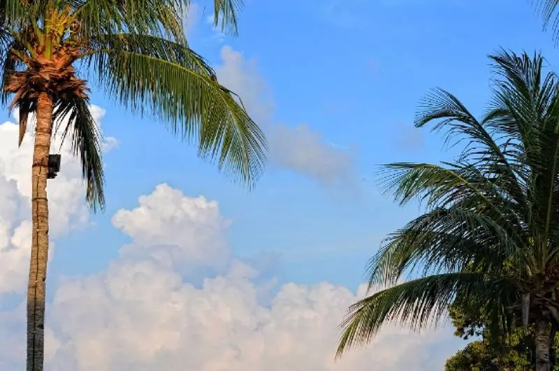 Holiday Villa Resort & Beachclub Langkawi