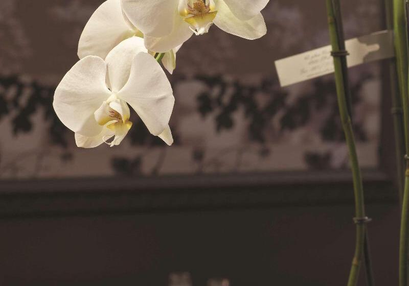 هتل Radisson Blu Balmoral