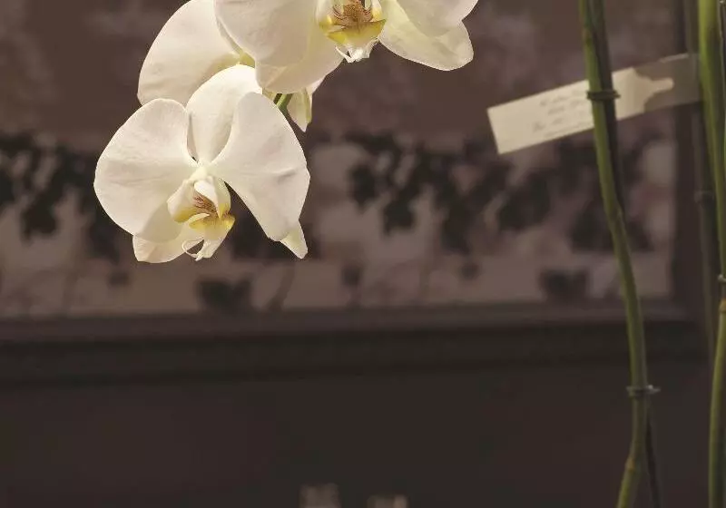 호텔 Radisson Blu Balmoral