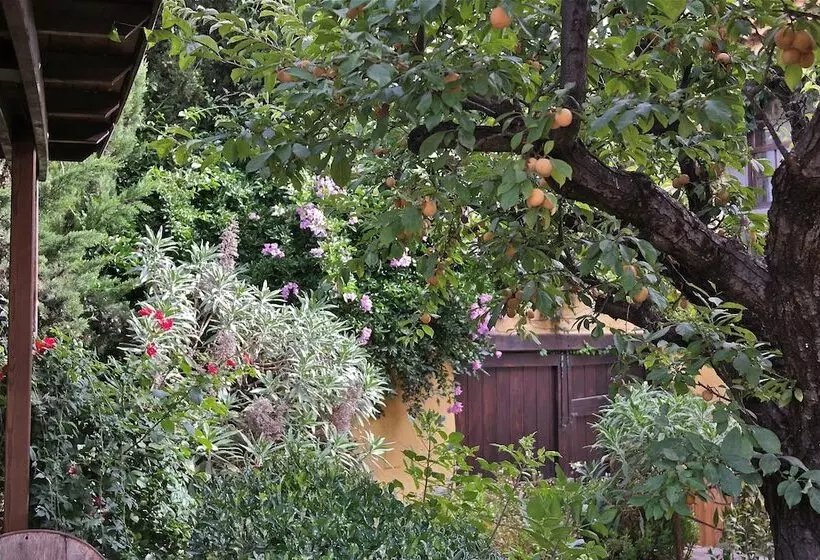 Сельский отель Rural Las Calas