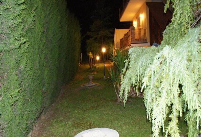 Bed And Breakfast Villa Algi