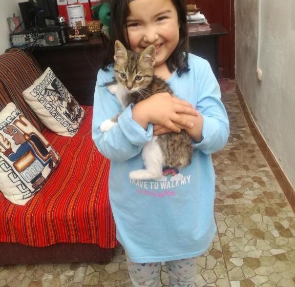 Vinincunca Hostal Cusco