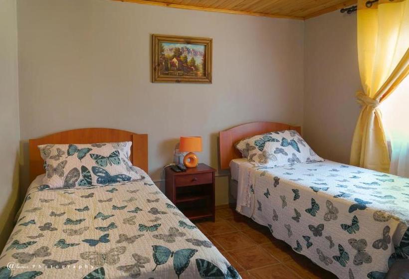 Homestay In Chile B&b