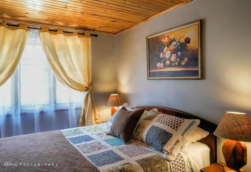 Homestay In Chile B&b