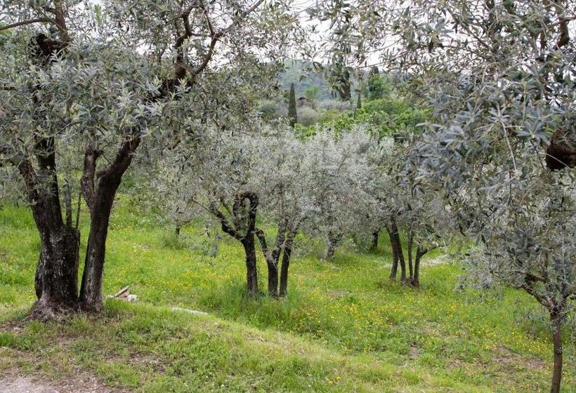 ホテル Agriturismo Il Calesse