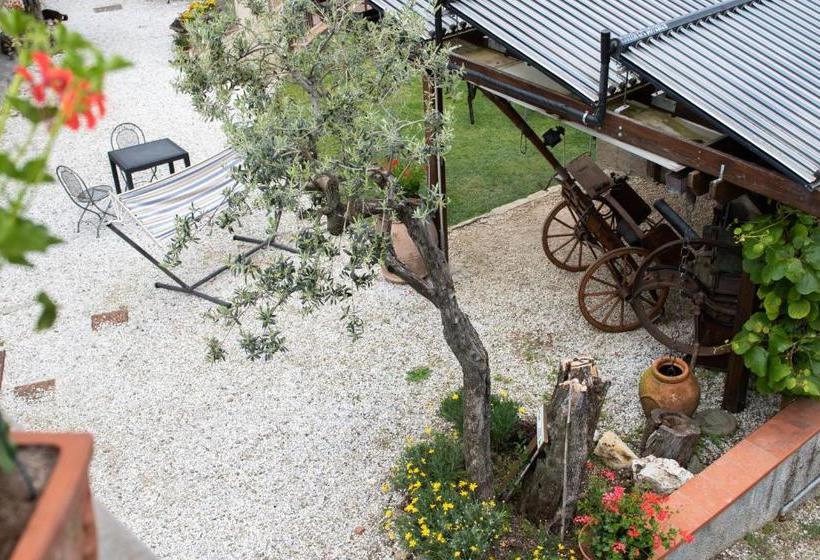 ホテル Agriturismo Il Calesse