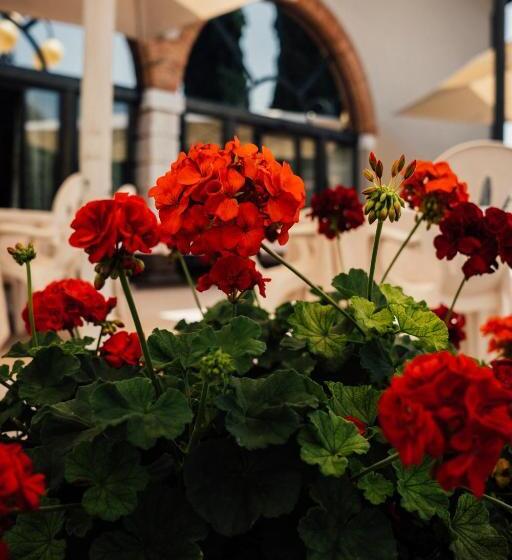 בית מלון כפרי Albergo La Meridiana