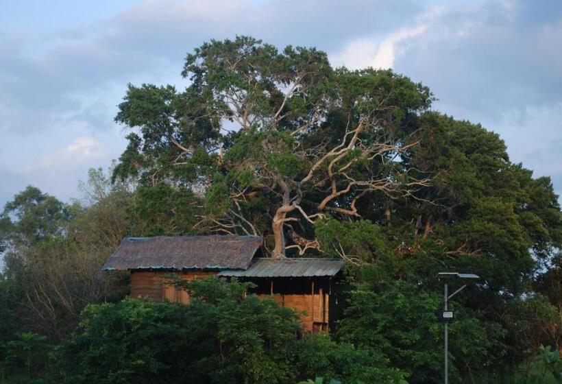 בית מלון כפרי Elephant Entrance