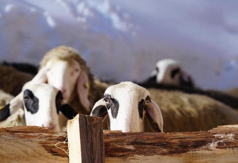 פנסיון Ciasa Roenn