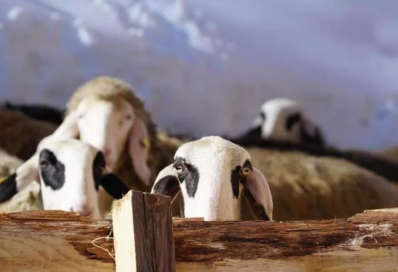 Majatalo Ciasa Roenn