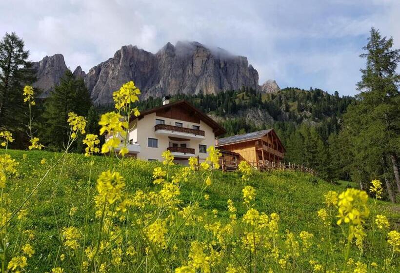 פנסיון Ciasa Roenn